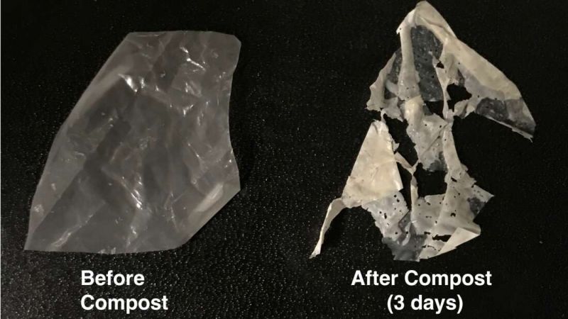 extra_large-1619013325-the-processed-plastic-before-and-after-just-three-day-of-compost-image-credit-christopher-delre-uc-berkeley.jpeg