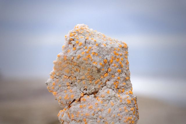 styrofoam.jpg