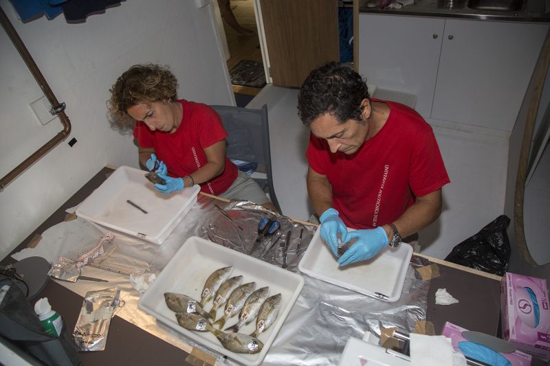 R4WO_GUADELOUPE_SCIENTIFIC_STUDY_STEFANIA_GORBI_FRANCESCO_REGOLI_SEPT_2017_PHOTO_PETER_CHARAF_R4W_2597_WEB.jpg