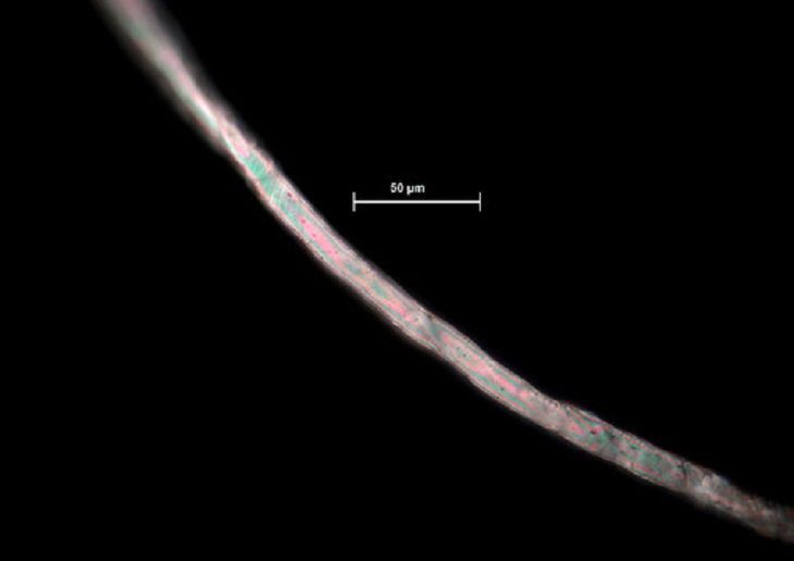 microfibres in textile.jpg