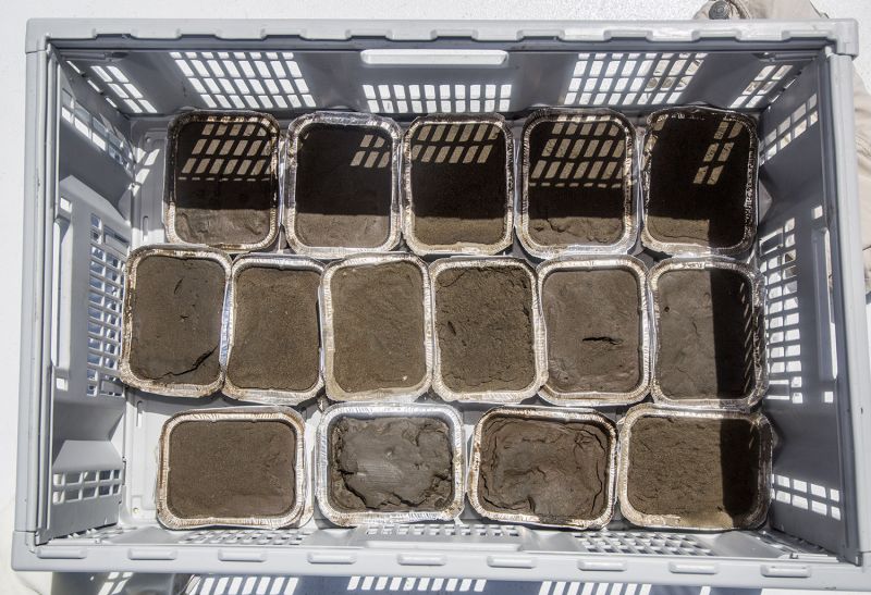 R4WO_GUADELOUPE_SCIENTIFIC_STUDY_SAMPLES_OCT_2017_PHOTO_PETER_CHARAF_R4W_2722_WEB.jpg