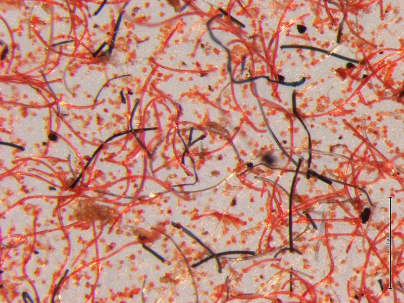 Microfibres2.JPG
