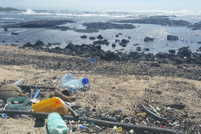 Ocean Pollution: Race for Water Odyssey Demonstrates Widespread Plastic Pollution