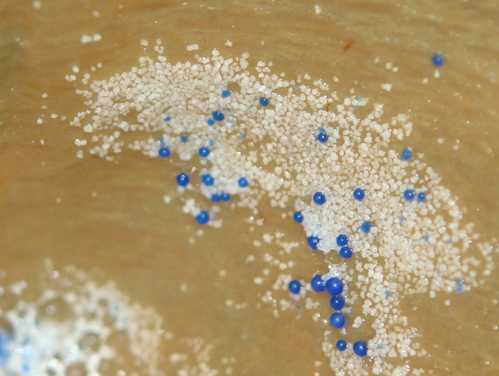 Make-up products containing tiny plastic microbeads to be banned by Govt