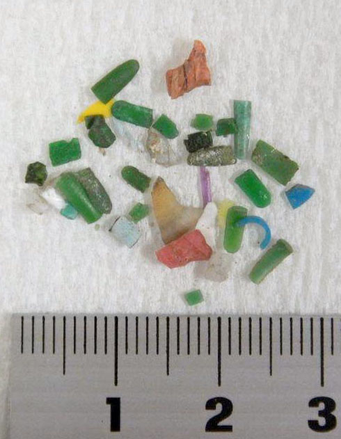 Microplastic litter surging globally: study | The Japan Times