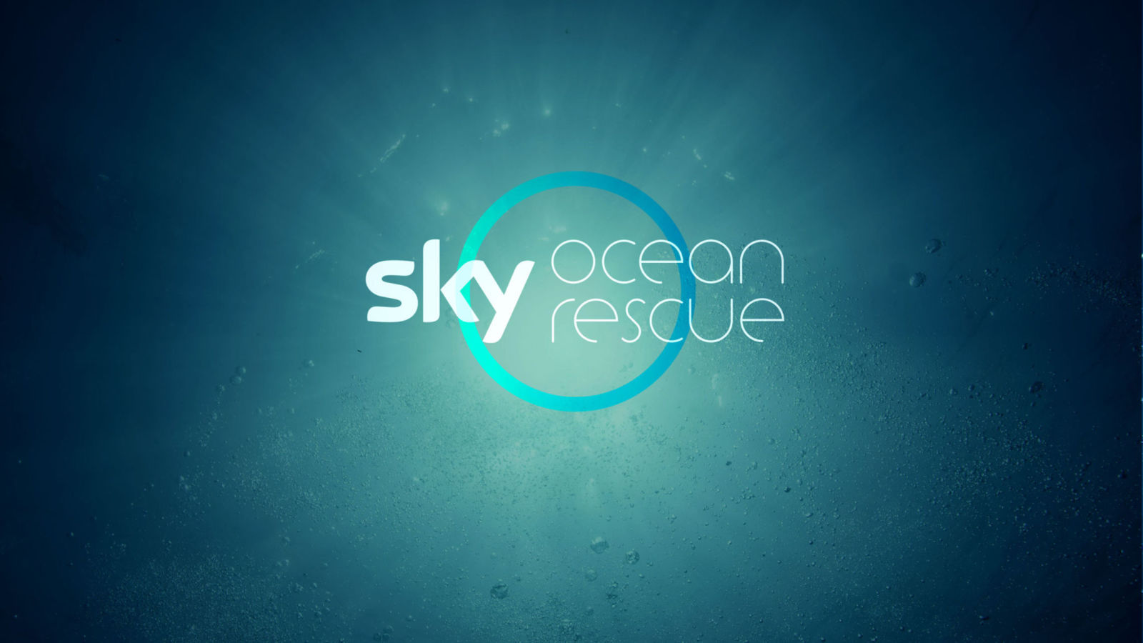 Sky Ocean Rescue