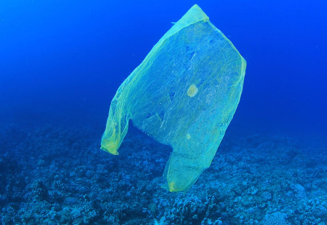 Sharp Drop in Plastic Bags Littering UK Seas after 5p Bag Charge