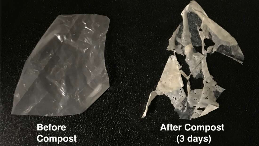 Scientists Develop Biodegradable Plastic That Easily Breaks Down With Just Heat And Water