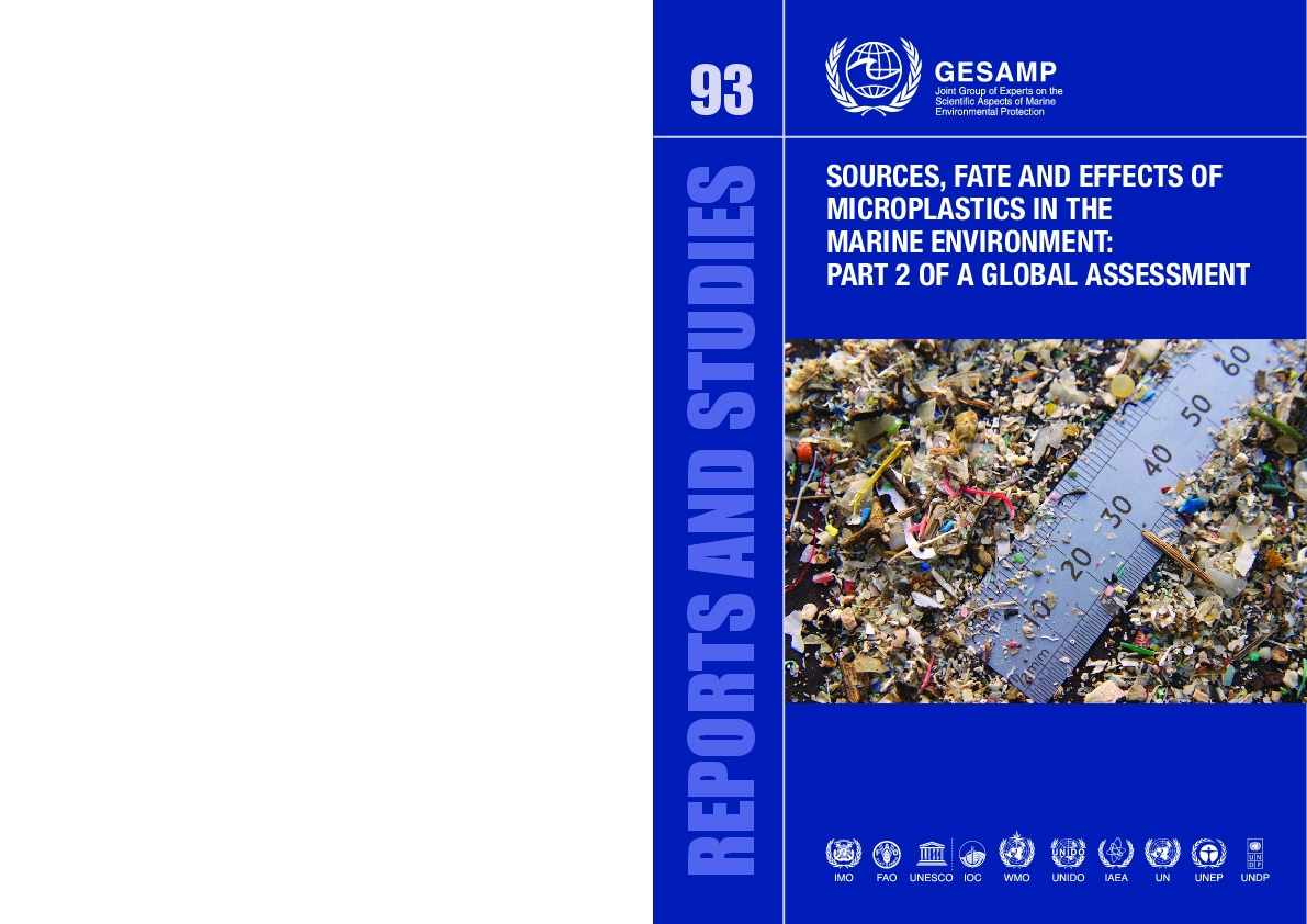 GESAMP (2016). Sources, fate and effects of microplastics in the marine environment: Part 2