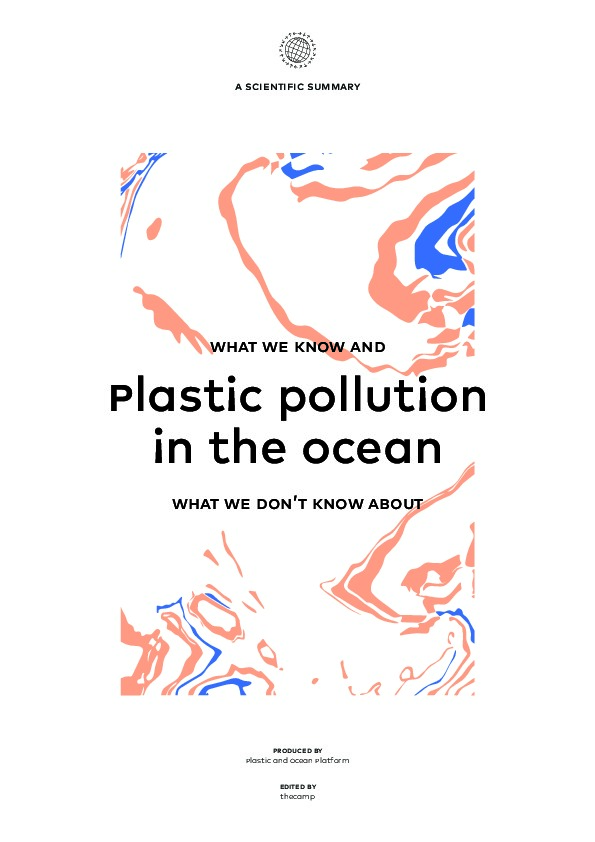 What We Know and What We Don't Know About Plastic Pollution in the Ocean