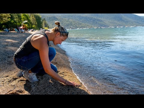 Microplastics Impacting Lake Tahoe, One of the Cleanest Water Bodies in the World (Video)