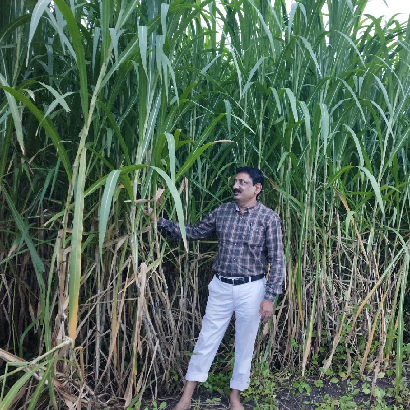 dr pradeep kagane, Livestock development officer at Dr PRADEEP KAGANE