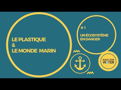 #1 An endangered ecosystem - Plastic and the Marine World