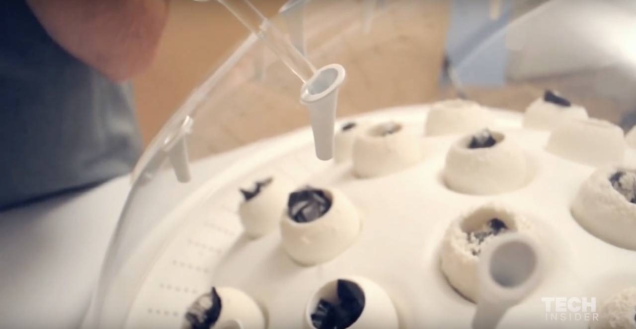 This mushroom might be the solution to pollution and food shortage