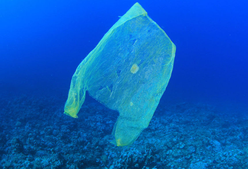 UK Considers Tax on Single-use Plastics to Tackle Ocean Pollution
