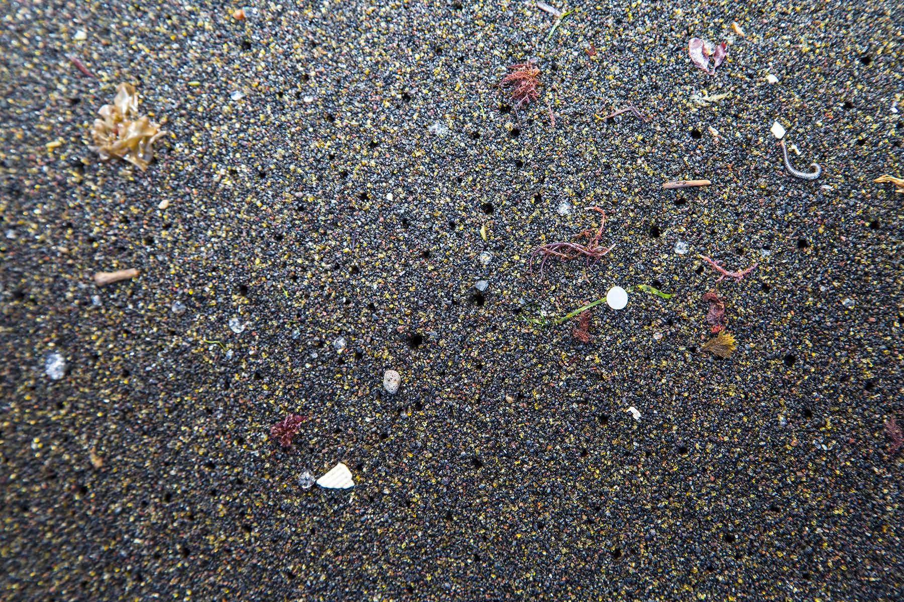 Wastewater treatment plants are key route into UK rivers for microplastics