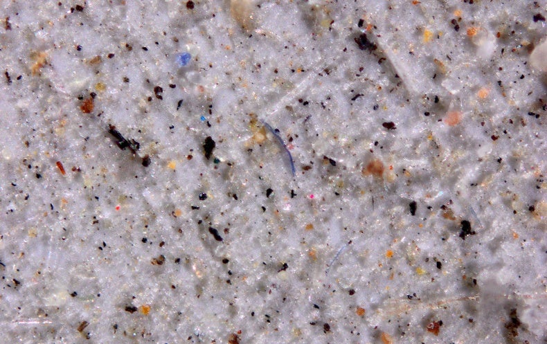 Thousands of Tons of Microplastics Are Falling from the Sky