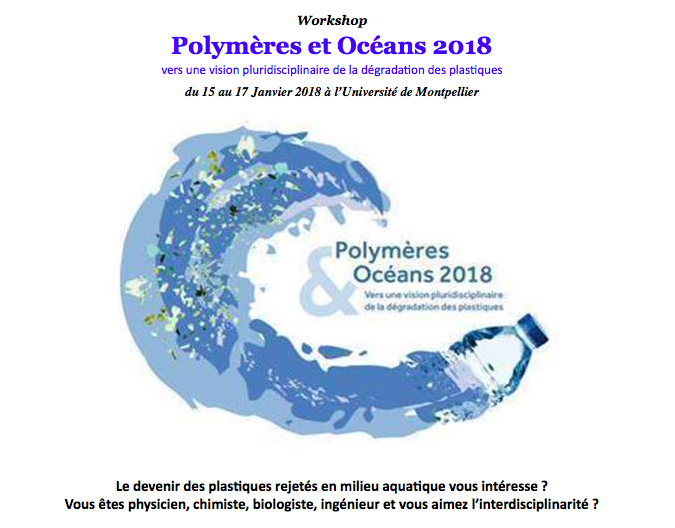 Poster presentation at the Workshop Polymers & Oceans 2018!