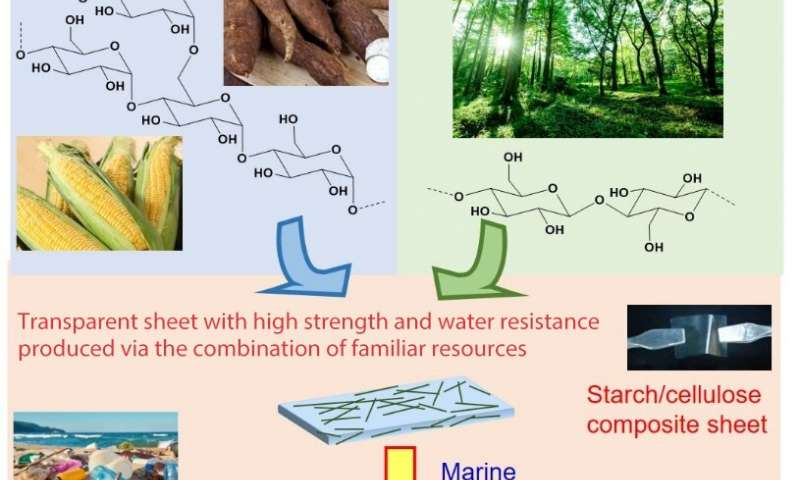 Researchers create water-degradable plastic combining starch and cellulose