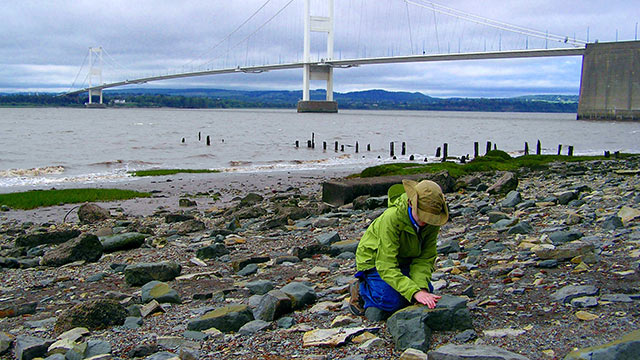 Microplastic pollution lingers in rivers for years before entering oceans