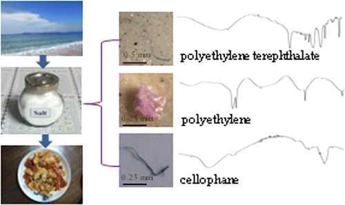 Microplastic Pollution in Table Salts from China - Environmental Science & Technology