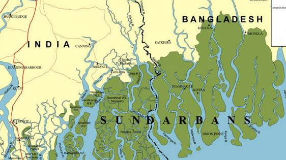 Preliminary study finds Sundarbans free of microplastics | Dhaka Tribune