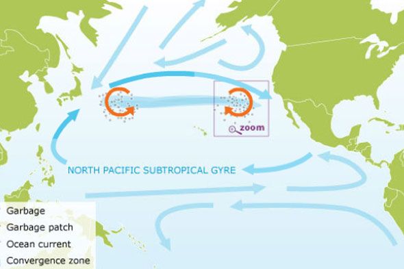 Double trouble in the South Pacific subtropical gyre: Increased plastic ingestion by fish in the oceanic accumulation zone