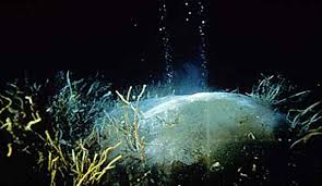 Seafloor microplastic hotspots controlled by deep-sea circulation