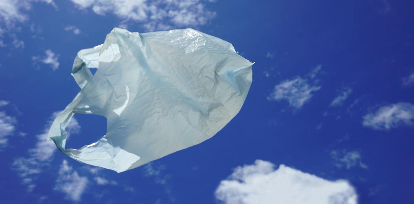 Why Compostable Plastics May Be No Better for the Environment