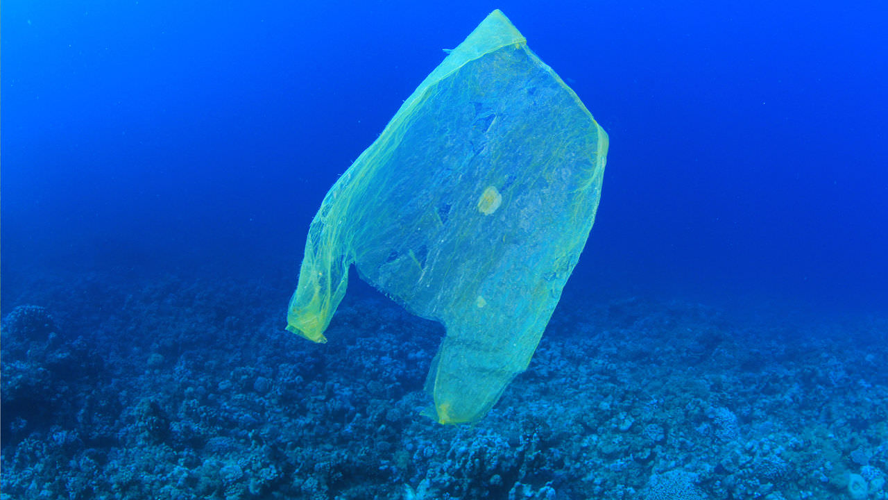 Human Footprint in the Abyss: 30 Year Record of Deep-sea Plastic Debris