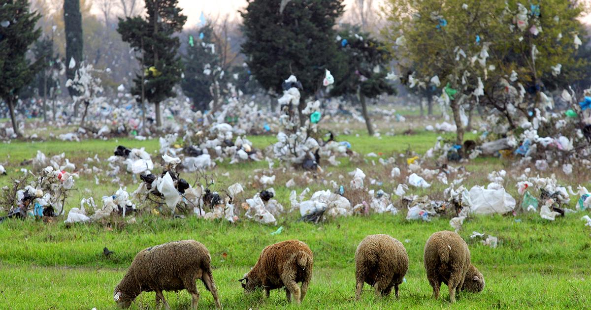 France bans plastic bags, what about the rest of the EU?