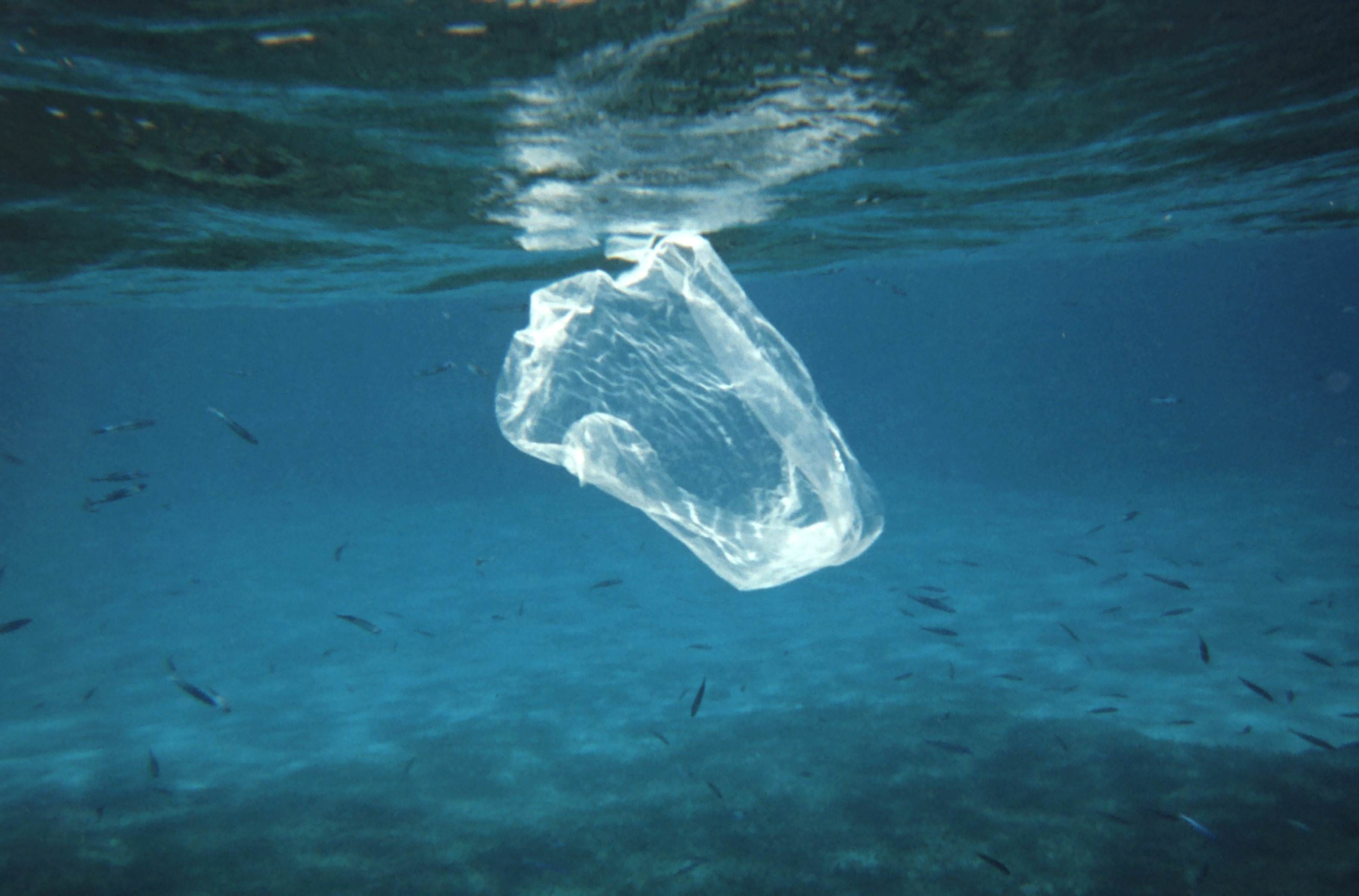 The Fate of Plastic in the Oceans: Microplastics Aggregate with Natural Particles