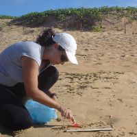 Monica Ferreira da Costa, Employee at Federal University of Pernambuco