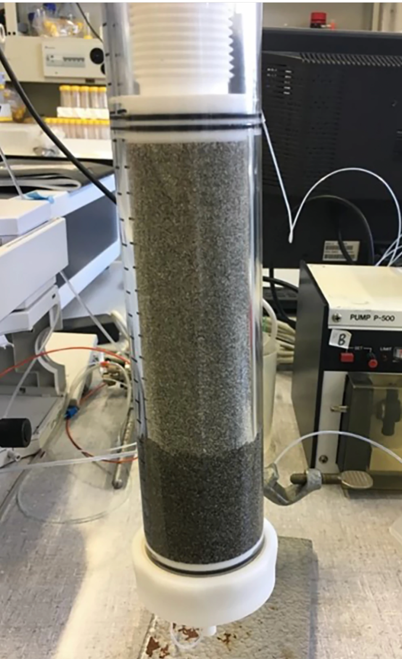 Biologically active slow sand filter as the most effective way to remove nanoplastics