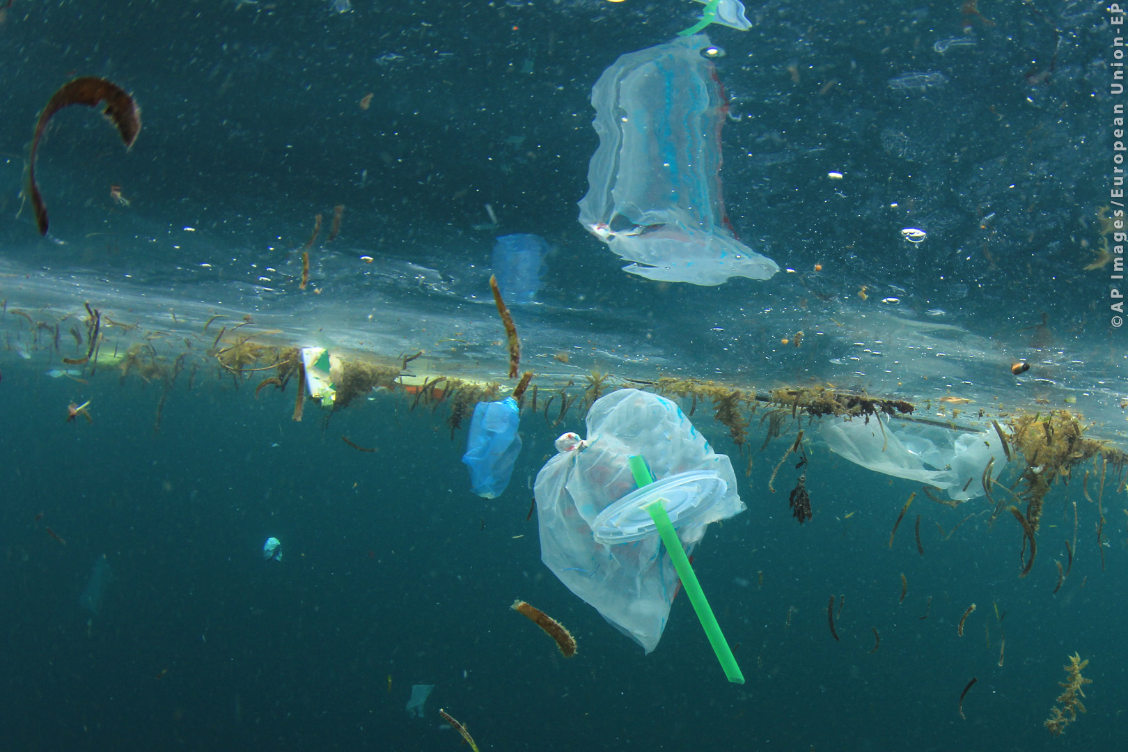 Plastic Oceans: MEPs back EU ban on throwaway plastics by 2021 | News | European Parliament
