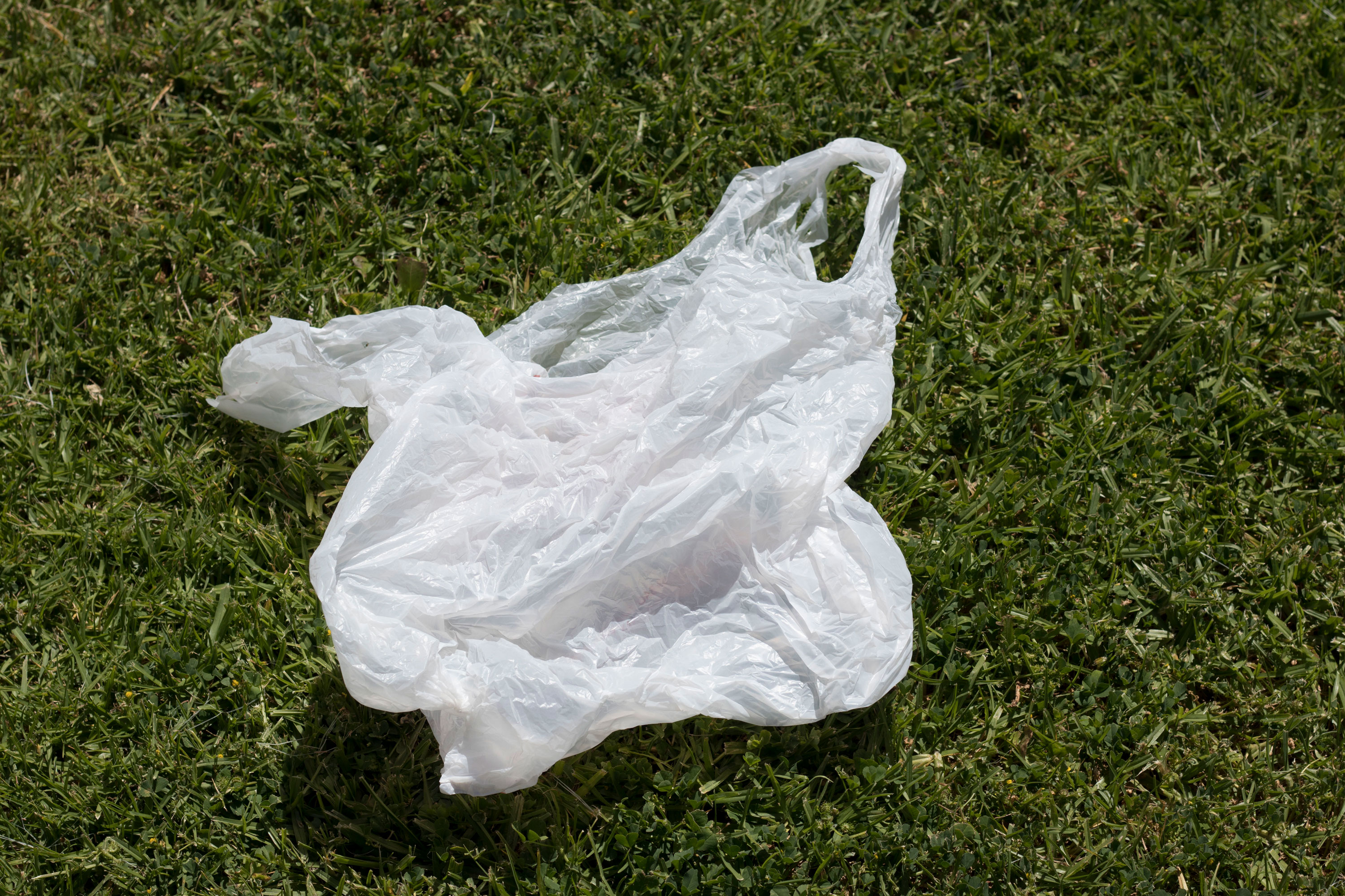 10 Cities and Countries Confronting Plastic Bag Pollution Head-On
