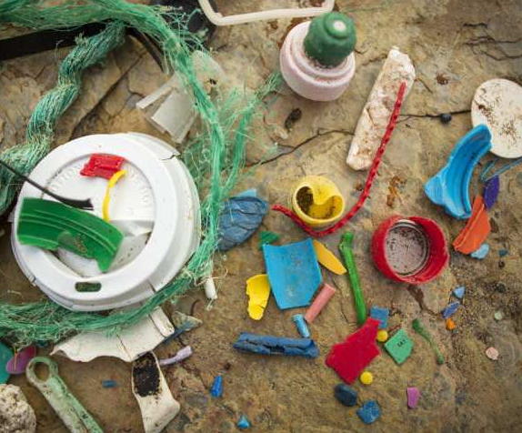 Who is to Blame for Marine Litter?