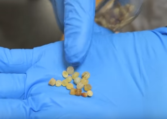 How To Sample ​Micro Plastic (VIDEO)