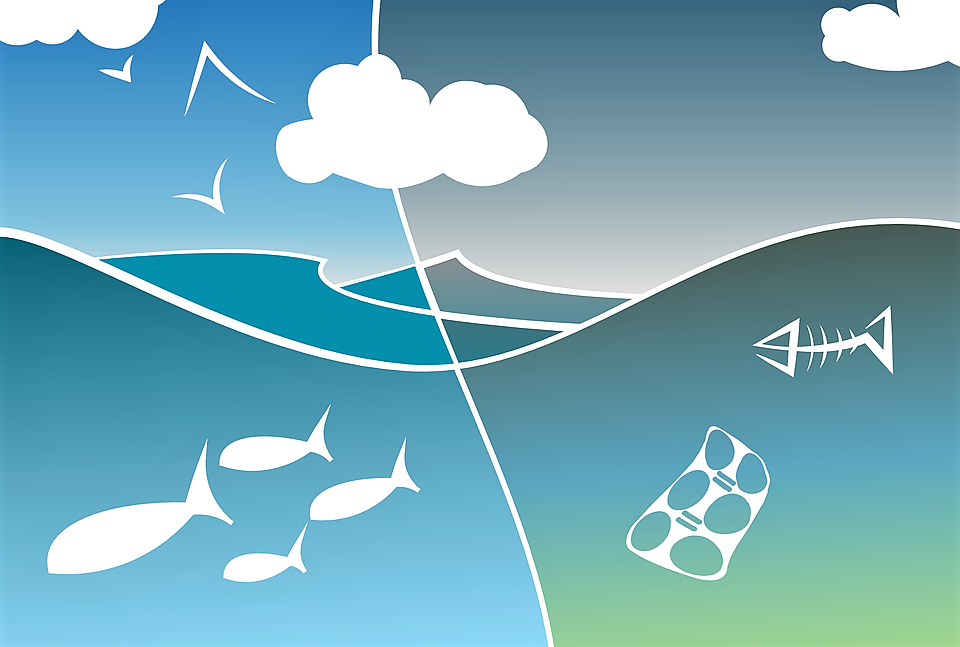 UK Launches New Research and Innovation Hub to Tackle Scourge of Plastic in our Seas and Oceans