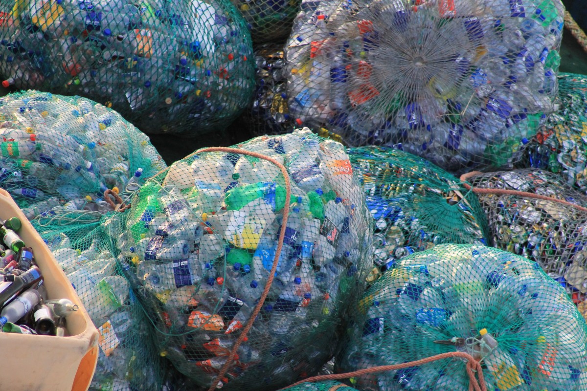 Two Young Scientists ​Engineer ​Bacterium that ​Breaks Down ​Plastics ​(Video)