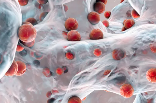How Plastic-eating Bacteria Actually Work – a Chemist Explains